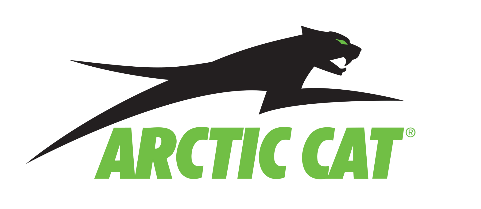 Arctic-Cat